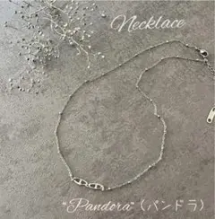 “Pandora”（パンドラ）　ネックレス　サージカルステンレス　シルバー