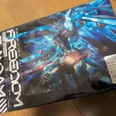 西川貴教 FREEDOM フリーダムガンダム クリアverセット