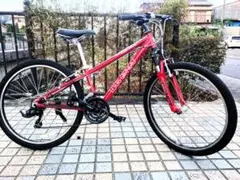 ルイガノ LGS―FIVE マウンテンバイク