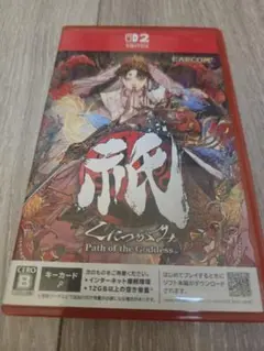 switch 2 祇 （くにつがみ）：Path of the Goddess