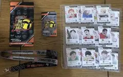 ハイキュー！！　Vリーグ　IDイメージカード　チケットホルダー