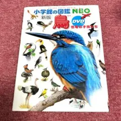 【美品】小学館の図鑑NEO 新版 鳥 ★期間限定価格 8月末まで★