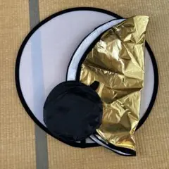 Item thumbnail for item df2f3f7a-3f17-445c-8ed7-e600af9e0269