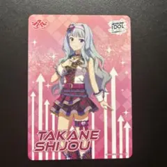 アイドルマスター カードフォリオ R NEI 四条貴音
