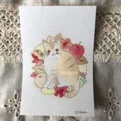 原画　水彩画　猫　紅葉　秋　フルーツ　ポストカード　オリジナルイラスト　特厚口