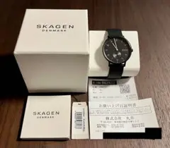 SKAGEN SKW6544 ジャンク 付属品有 スカーゲン 状態良好 匿名配送