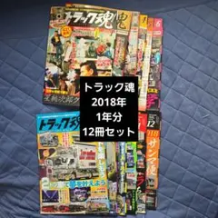 Item thumbnail for item 8a47fb25-1b90-4613-a606-d4cc7a900b87