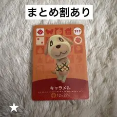 どうぶつの森 amiiboカード キャラメル 317 あつ森