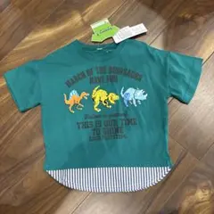 恐竜プリント Tシャツ 100 トリケラトプス　ティラノザウルス