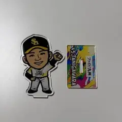 谷川原健太 BIGアクスタ