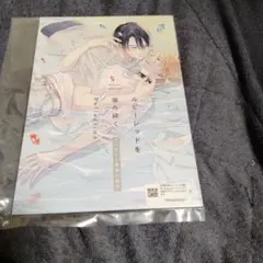 「ルビーレッドを噛み砕く Reflection」小冊子