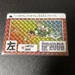 ドラゴンボールカードダス limited3000 ドラゴンボールカードダス LIMITED3000 ∞孫悟空＆悟飯