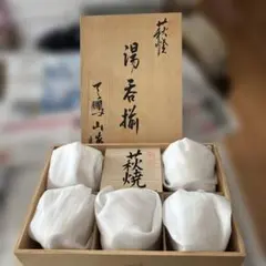 萩焼 湯呑揃 淡雪 天鵬山　5客セット