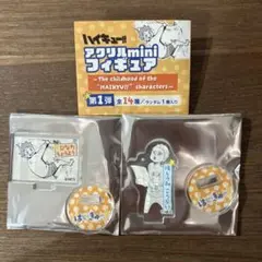 ハイキュー　ファンパーク　アクリルminiフィギュア