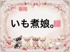専用