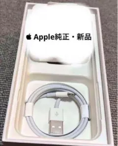 Apple純正Type A ライトニングケーブル