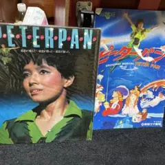 貴重  榊原郁恵 写真集 1980年発行 貴重 榊原郁恵 写真集 1980年発行 雑誌 - その他