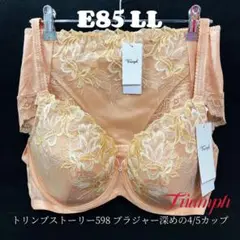 E85 トリンプ ストーリー598 ブラジャー深めの4/5カップ&深めショーツ