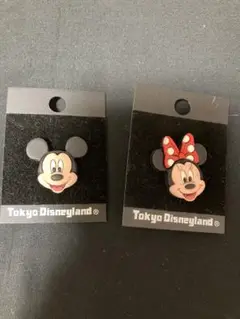 東京ディズニーランド ミッキー ミニー ピンバッジセット