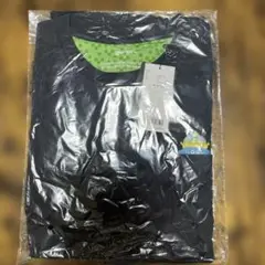 Item thumbnail for item 4c103d30-a008-436d-a986-6863e0649cfc