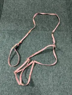 Item thumbnail for item 15eae001-98e8-429d-9a34-a48356c47db6