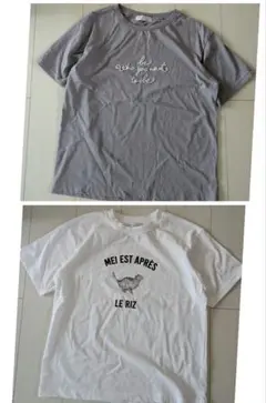 値下げ☆UNITED ARROWS アローズ 未使用Tシャツ ２枚セット 猫