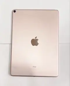 iPad Pro (10.5-inch) ローズゴールド