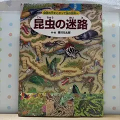 昆虫の迷路 昆虫の好きなお子様 めいろが好きなお子様 絵本 知育
