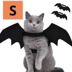 Item thumbnail for item 15e554d0-1799-4fab-831e-f562cd73e182