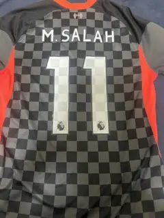 Item thumbnail for item 508b3f3c-096c-47c4-9f8c-99ecdc40fab9