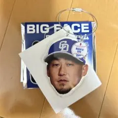 中日ドラゴンズ　中田翔 BIG FACEワイヤーチャーム