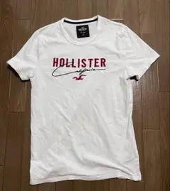 HOLLISTER Tシャツ