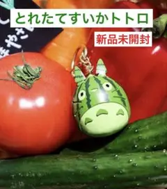 2025年最新】とれたてすいかトトロの人気アイテム - メルカリ