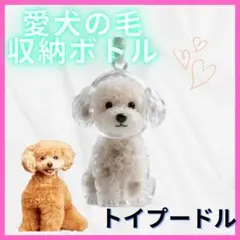 トイプードル 犬の毛 収納 毛玉 メモリアルグッズ キーホルダー