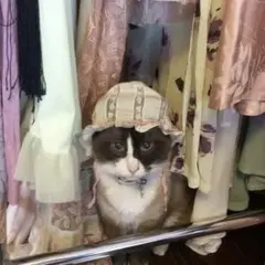 ※プロフ読んでください※さま　専用ページ