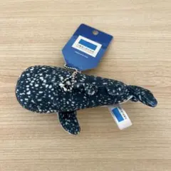 美ら海水族館　ぬいぐるみマスコット ジンベエザメ