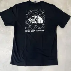 THE NORTH FACE ノースフェイスTシャツ US限定(USサイズL)
