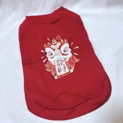 Item thumbnail for item 54c19289-32ab-4376-a414-1b3ad4b3bd69