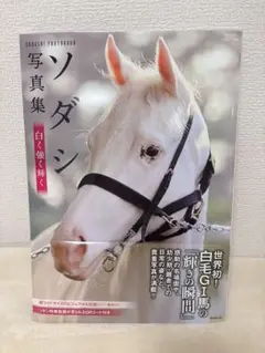 【美品】②ソダシ写真集