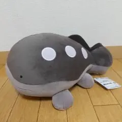 ポケモン もふぐっとぬいぐるみ ドオー