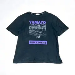 メンビッグプリントTシャツ(L)インパクト　ストレッチ　カジュアル　着回し　大人