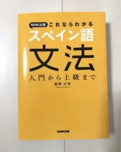 日曜日まで❗️NHK出版 これならわかる スペイン語文法 入門から上級まで