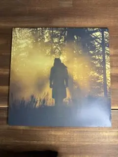 2025年最新】thundercat レコードの人気アイテム - メルカリ