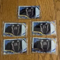イタジャガ ワンピース LOG3 クザン 5枚