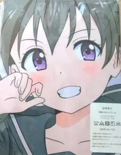 2025年最新】ヤマノススメ 抱き枕の人気アイテム - メルカリ
