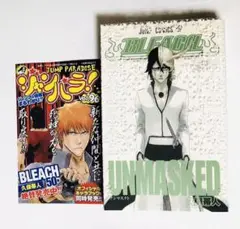 Item thumbnail for item 65bc1b6b-fff5-4aa3-b657-1ace7f398b1e