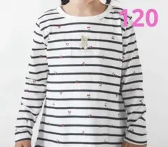 Item thumbnail for item 3bd4c587-ce3f-48ad-bbc6-cd17658f026a