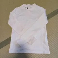 Item thumbnail for item 2d51674c-dcda-4b29-a9b4-3f31251f68da