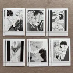 踏んだり蹴ったり愛したり ぱしゃこれ まとめ売り