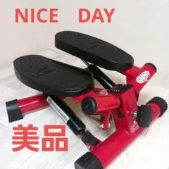 ShopJapan ショップジャパン/健康ステッパー ナイスデイ/NDS-1R